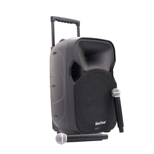 Portable Audio BareTone MAX12AL