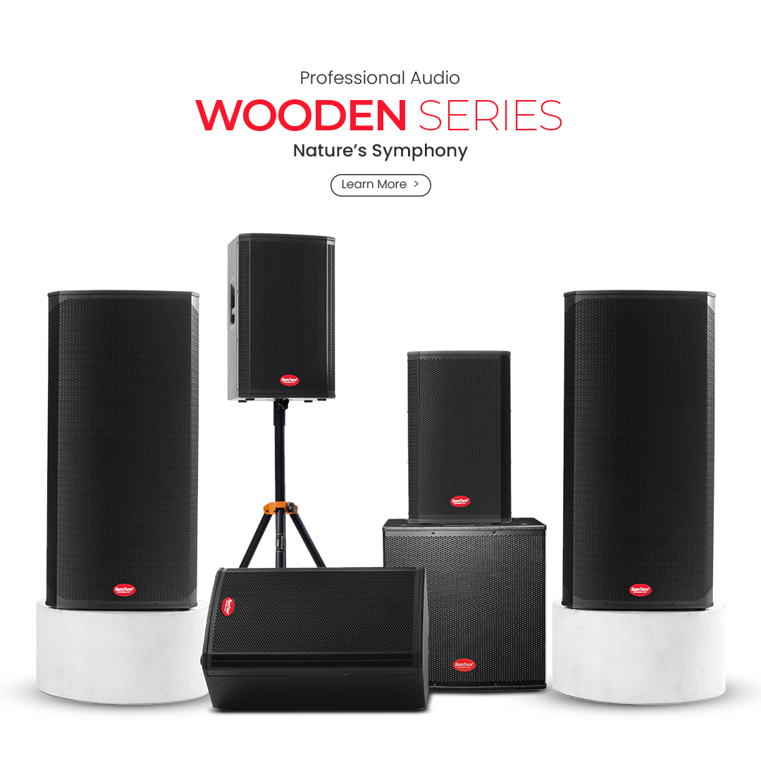 Loudspeaker Wooden Series