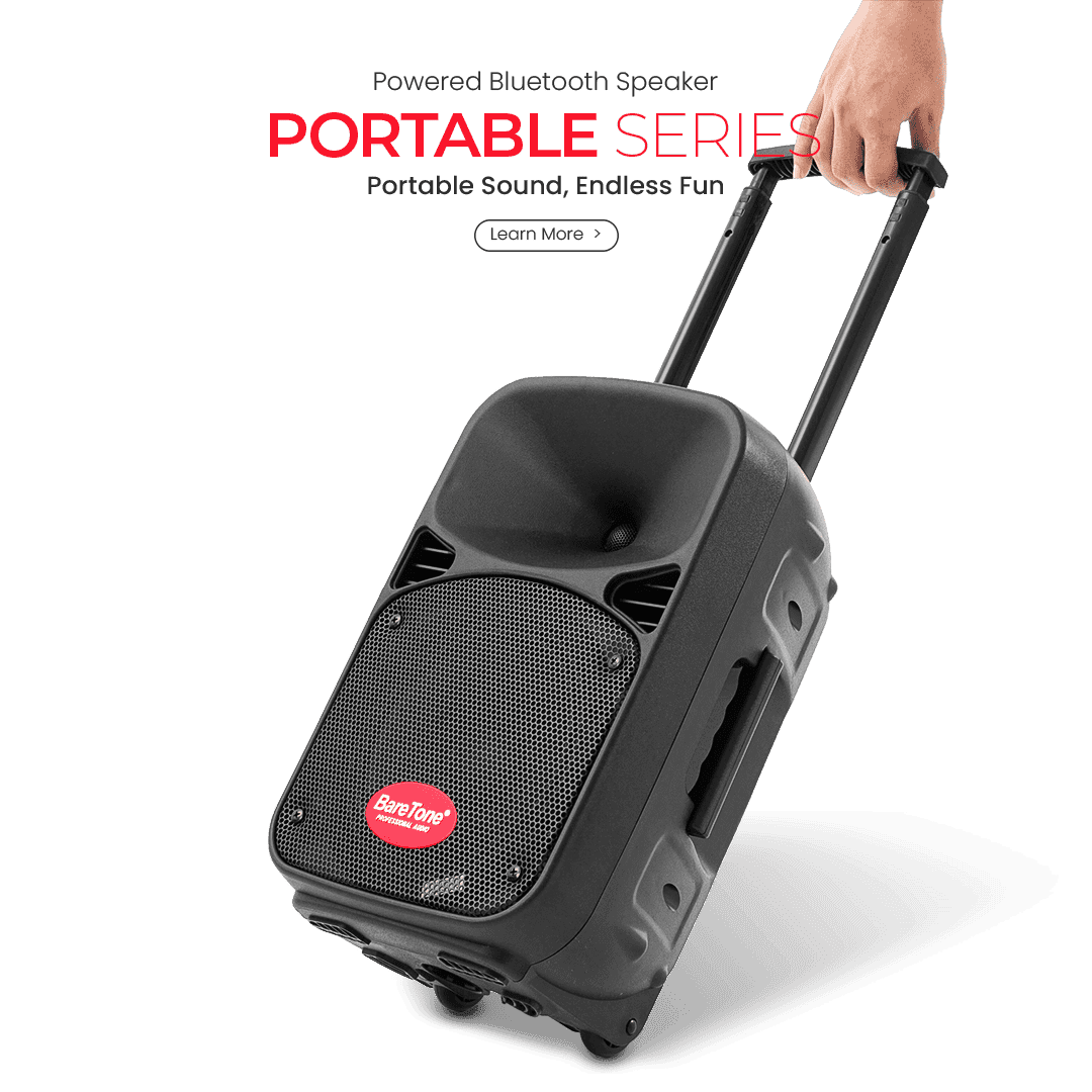 Loudspeaker Portable