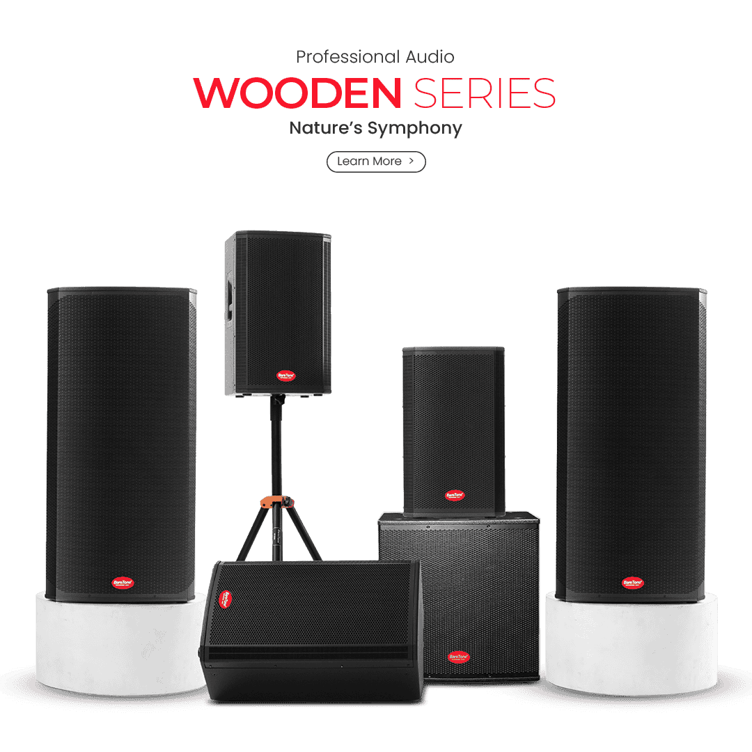 Loudspeaker Wooden Series